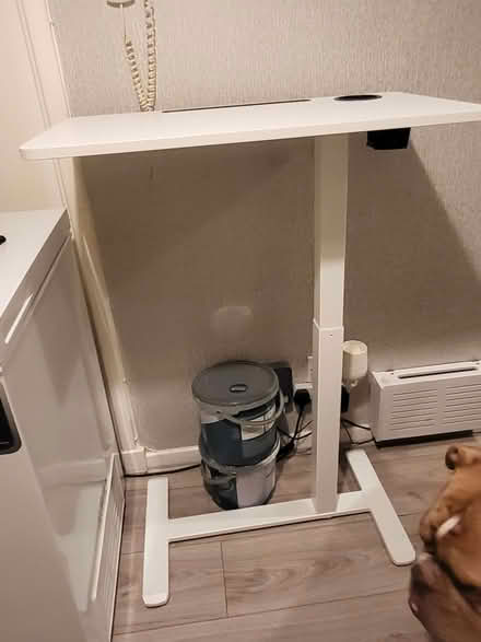Photo of free Raised adjustable table (Fintry DD4) #1
