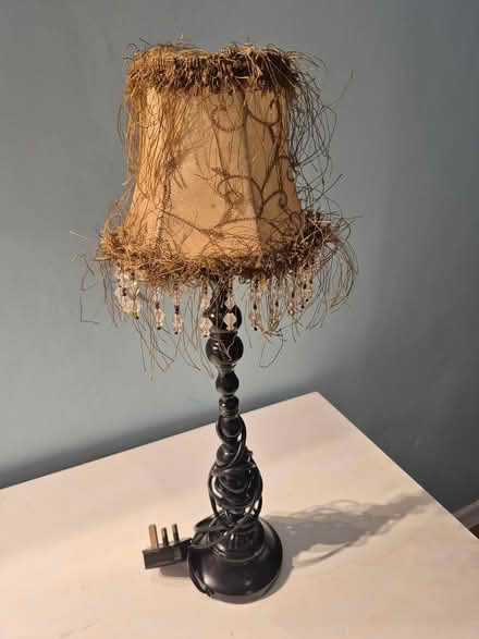 Photo of free Lamp (Moycullen) #1