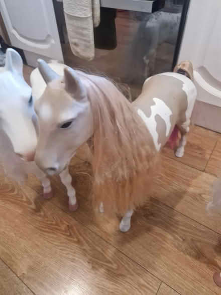 Photo of free Our generation horses (Heddington SN11) #4