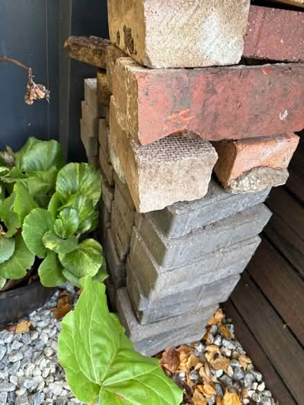 Photo of free Hexagonal slabs and edging bricks (Barnby dun) #3