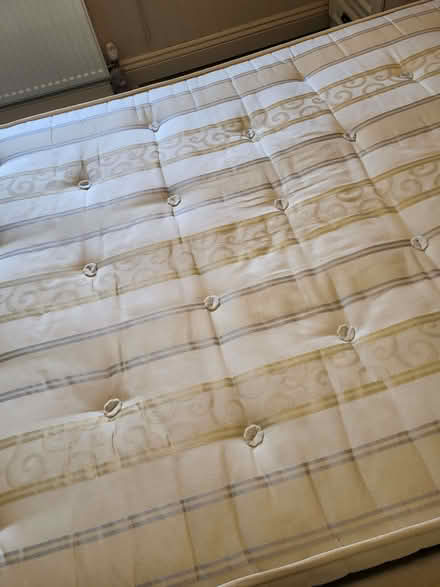 Photo of free Double crushed velvet Mink Bed and Mattress (King's Bromley DE13) #3