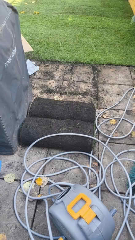Photo of free 2sqm mix clover and grass turf (Acris street SW18) #2