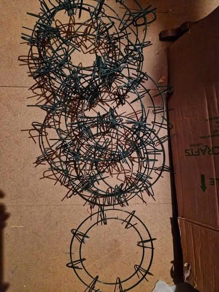 Photo of free Wreath making materials (Wimborne Town centre, BH21) #2