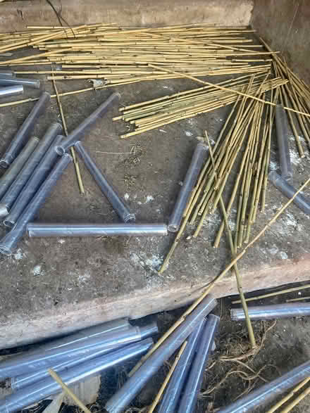 Photo of free Used tree guards new rabbit guards and canes (Brampton - Appleby CA16) #2