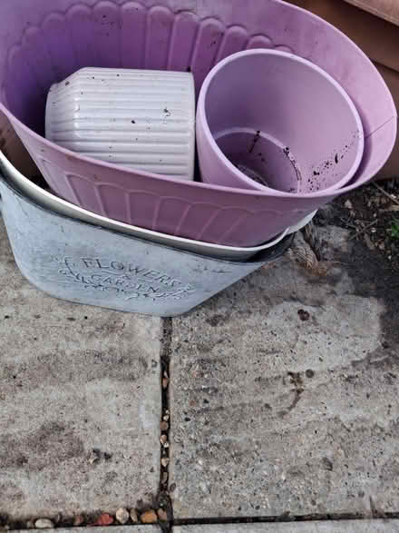 Photo of free Small pots for garden (Colchester CO4) #1