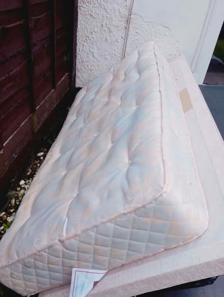 Photo of free Single bed (Blackford Bridge BL9) #4