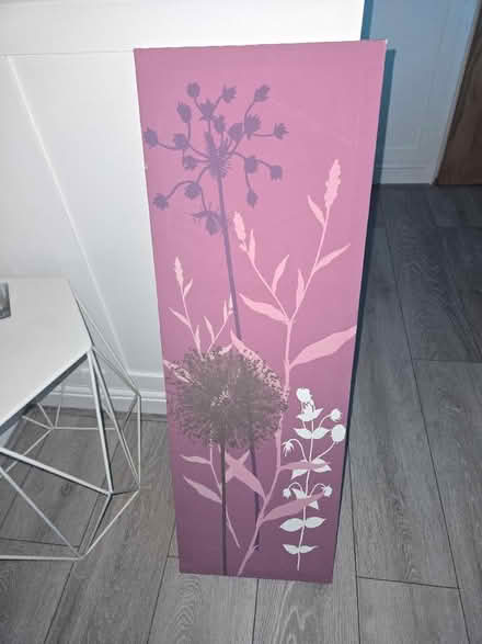 Photo of free Purple Canvas Picture (Waterthorpe S20) #2