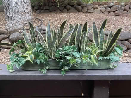 Photo of free Rustic planter (Upper Fairway) #1