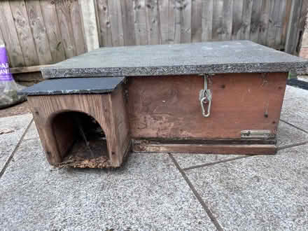 Photo of free Hedgehog house (Isleworth TW7) #1