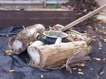 Photo of free Railway sleepers? (Princes Risborough HP27) #2
