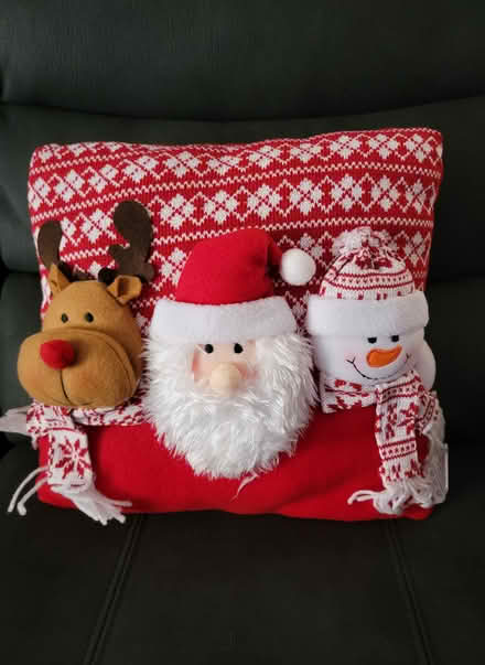 Photo of free Tree skirt and matching cushion (Walton. Liverpool L4) #2