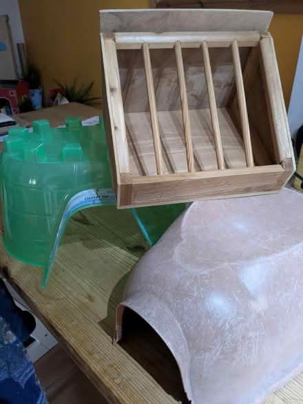 Photo of free Guinea pig items (Belper DE56) #1