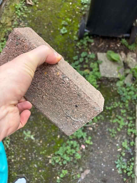 Photo of free 150 Bricks (Catford SE6) #1