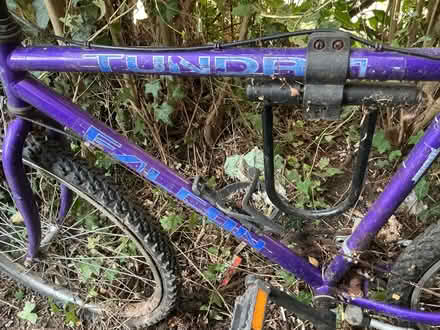 Photo of free Bicycle (NW11 Hampstead Gdn Sub.) #2