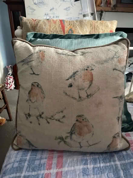 Photo of free BS30 area selection of cushions (The Batch BS30) #3