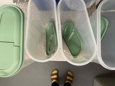 Photo of free Cereal boxes new x4 with lids (Cricket Road OX4) #2