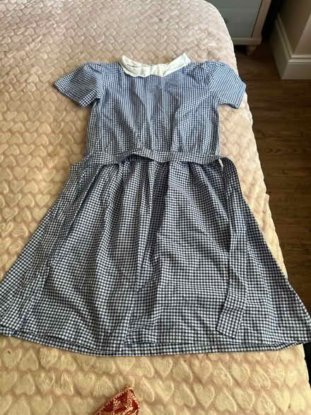 Photo of free Matilda dress up costume (Talbot Woods BH3) #1