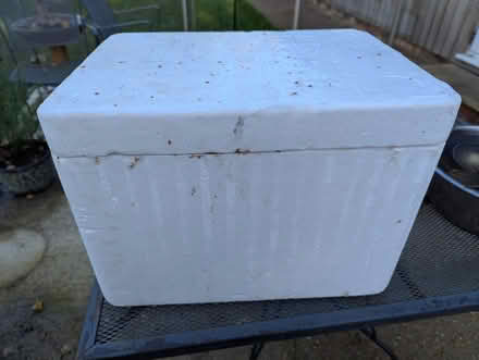 Photo of free Polystyrene box (Westcott) #1