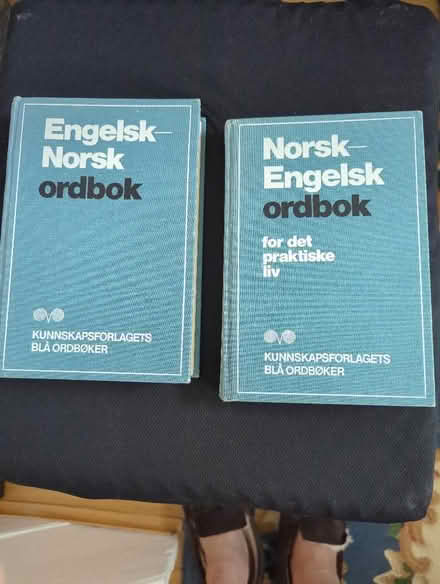 Photo of free Norwegian dictionaries (Ramsgate CT11) #1