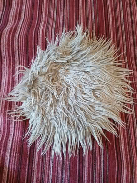 Photo of free Soft Grey Faux-Fur Mat (Orgreave S13) #1