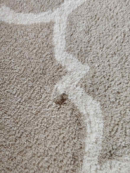 Photo of free Even Larger Used Rug (North Abingdon, OX14) #2