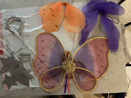 Photo of free Child Butterfly wings for costume (Fauquier County Warrenton) #1