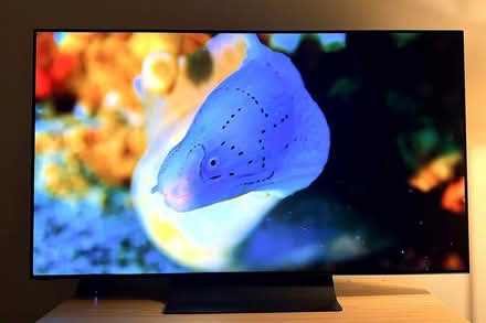 Photo of free 65” OLED TV Pickup TODAY ONLY (Capitol Hill) #1