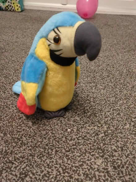 Photo of free Toy talking parrot (Orgreave S13) #1