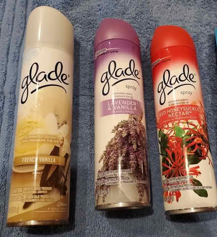 Photo of free air freshener spray (3) (DeAnza Blvd - Stvns Crk & 280) #1