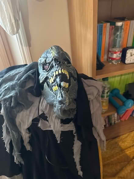 Photo of free halloween costume and halloween cloak (Shepherds Bush W6) #4