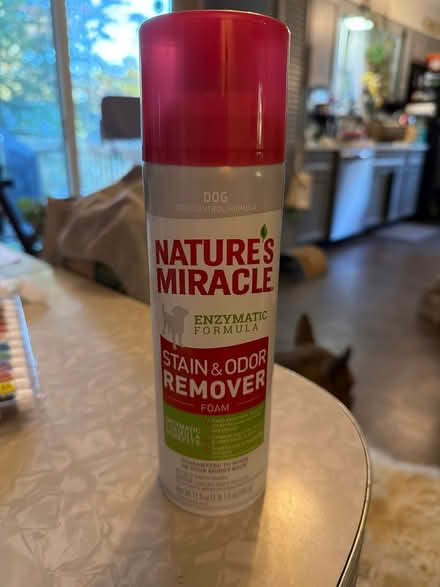 Photo of free Nature's Miracle (Annapolis (near Quiet Waters)) #1