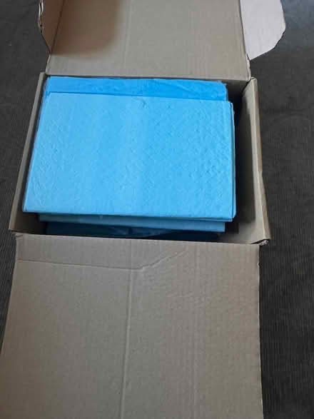Photo of free Dog training pads (Thornton Heath CR7) #1