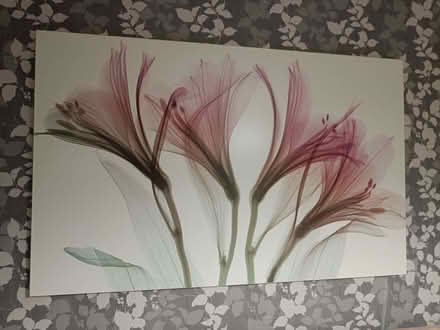 Photo of free Wall decoration (Bramhall SK7) #1
