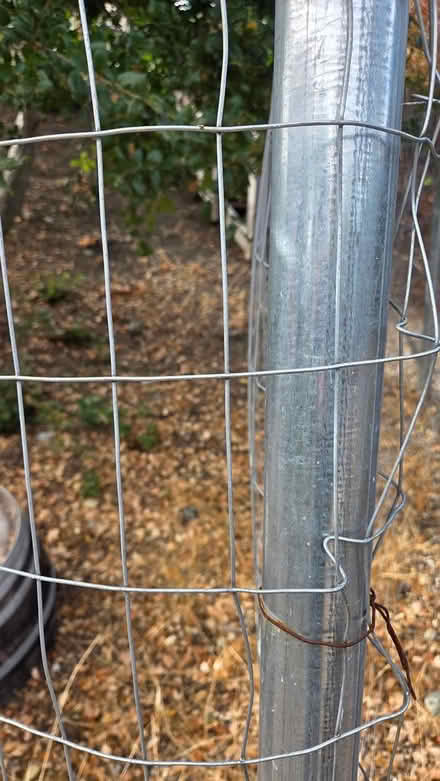 Photo of free Galvanized Posts & Wire Mesh (San Carlos CA) #3