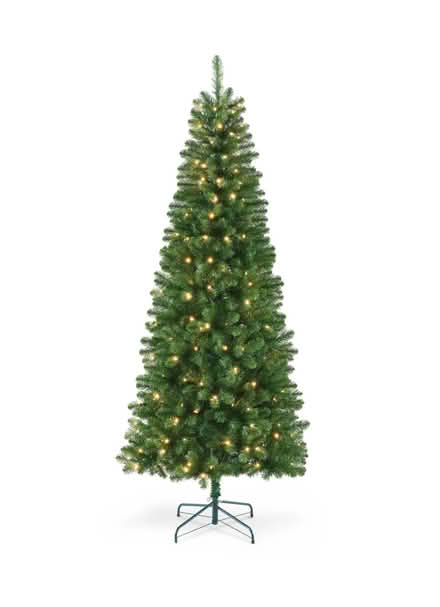 Photo of Christmas Tree (Boardwalk) #3