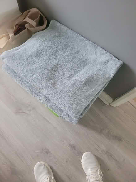 Photo of free 3 Bath sheet size towels for pets (Leighton Buzzard LU7) #1