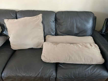 Photo of free Down cushions - washable cover (East Somerville) #1