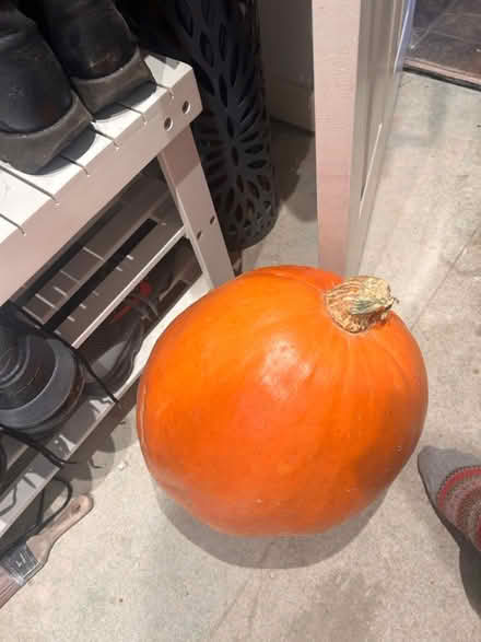 Photo of free Good size pumpkin (Hailsham BN27 3) #1