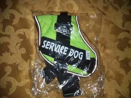 Photo of free Harnesses with conditions (Kensington) #1