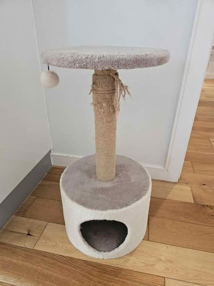 Photo of free Cat tree (Oval Quarter SW9) #1