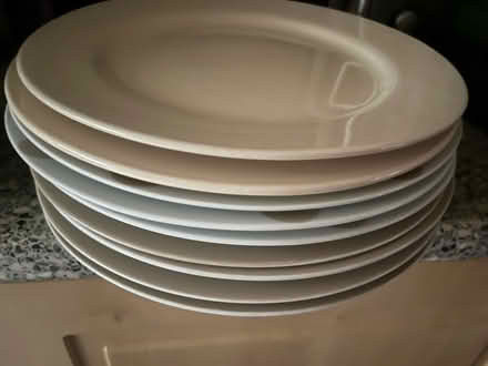 Photo of free 9 Dinner Plates (Tyseley B11) #1