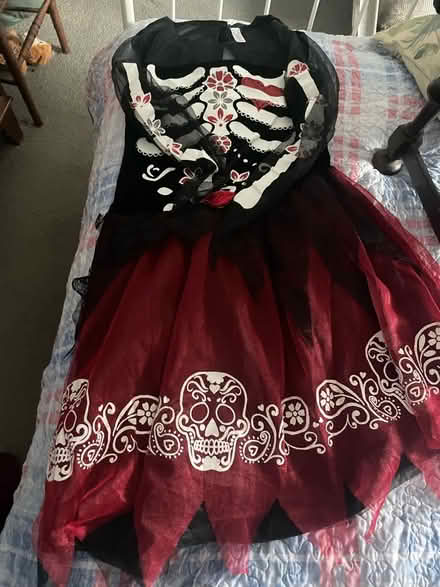 Photo of free BS30 area 2x adult Halloween dresses (The Batch BS30) #2