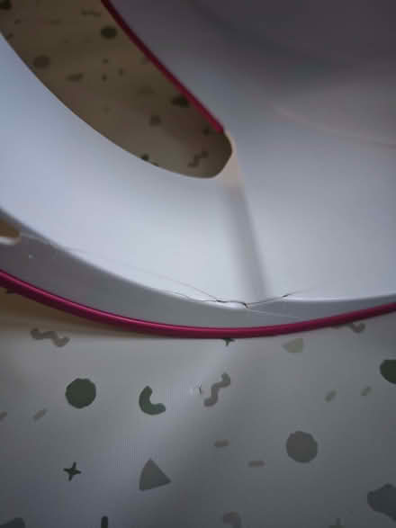 Photo of free potty and toilet seat (Penrith CA11) #2