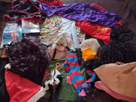 Photo of free Large bag of fancy dress items. Adult sizes (Pokesdown BH5) #1