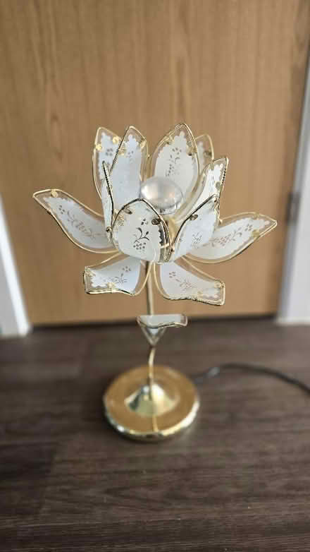 Photo of free Table Lamp (East Challow OX12) #1