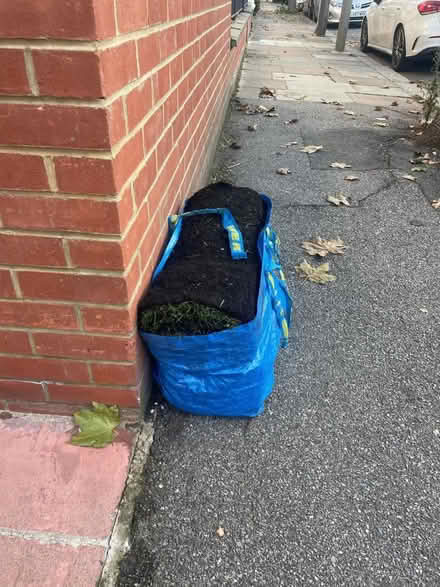 Photo of free 2sqm mix clover and grass turf (Acris street SW18) #1