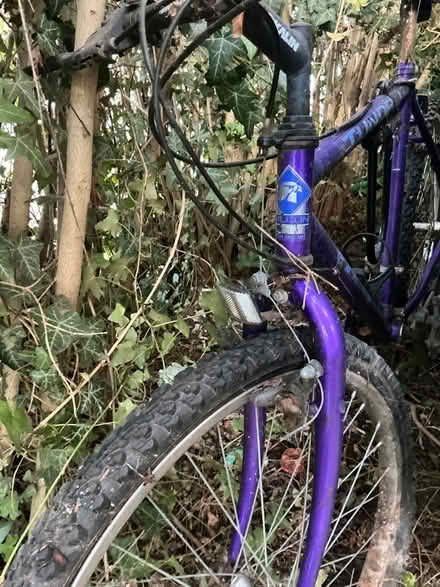 Photo of free Bicycle (NW11 Hampstead Gdn Sub.) #1