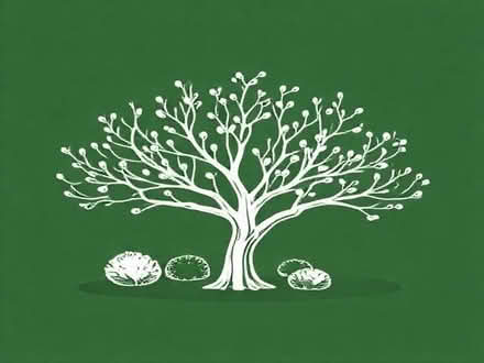 Photo of free Yew tree sapling (Headington OX3) #1