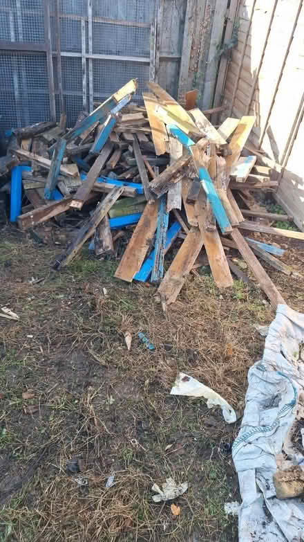 Photo of free Wood for Bonfire (South Court HP21) #1