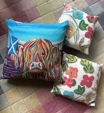 Photo of free Cushions (Bicester OX26) #1
